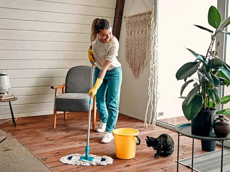 An image of a house cleaner mopping a house.